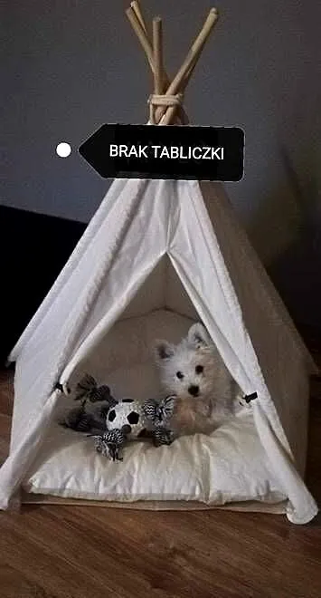 Tipi, namiot dla zwierząt, Śląskie, Zawiercie