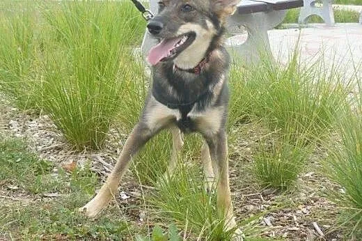 Sunia Bunia do adopcji!!!,  łódzkie Łódź