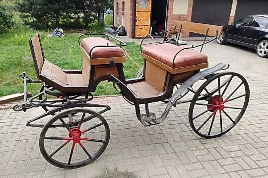 Bryczka konna, Warmińsko-mazurskie, Olsztyn