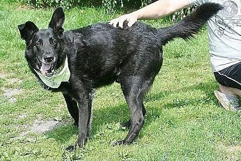 Ergo szuka swojego prawdziwego, kochającego domu ,