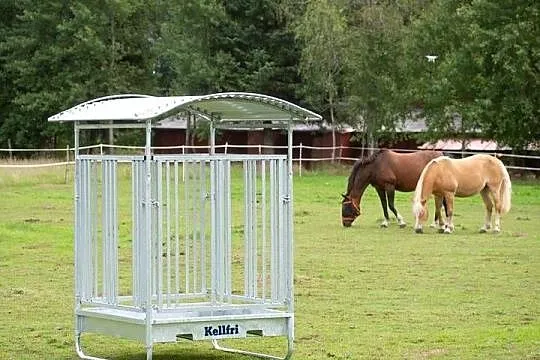 Paśnik dla koni, z przegrodami, 8 stanowisk, Małopolskie, Libiąż