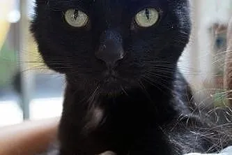 Nero......,  łódzkie Łódź