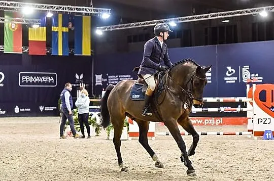Wałach do dużego sportu Balou du Rouet x Chacco Blue, , 