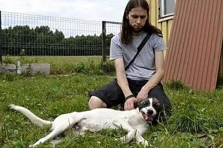 Szczękuś-młody, rezolutny, kociolubny psiak-nieste