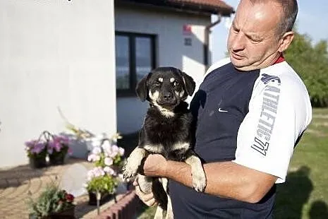 Mgiełka - uroczy maluszek do pokochania :),  Kunde