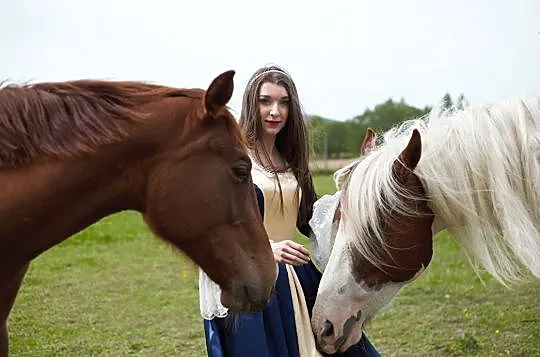 Wiosna klacz roczna, po matce śląskiej , ojciec AQH, , Jedlicze