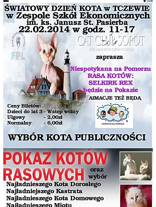 Światowy Dzień Kota TCZEW 22.02.2015