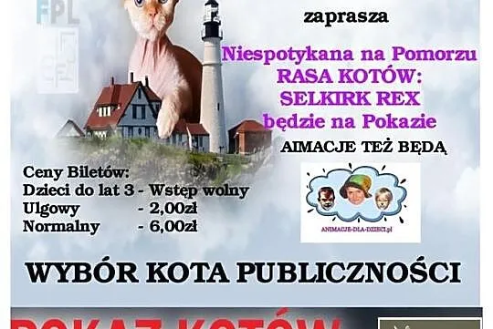 Światowy Dzień Kota TCZEW 22.02.2015