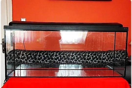 Duże Akwarium 200l z pokrywą WROMAK + akcesoria Używane, Lubuskie, Lubsko