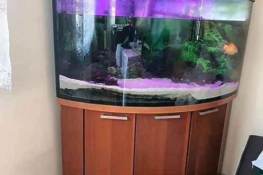 Akwarium narożne duże
