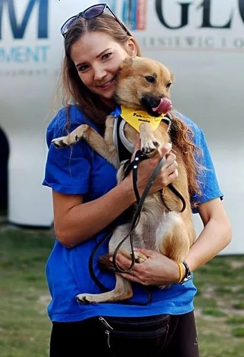Malutki młody piesek ok5kg do adopcji, zachodniop
