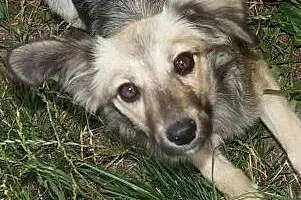Słodka Młodziutka MANDY czeka na swojego człowieka