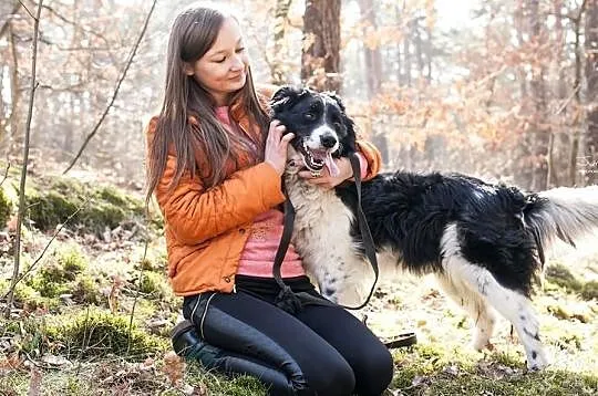 Łatek - oddany jak zwykły przedmiot, szuka miłości