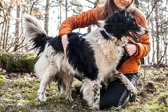 Łatek - oddany jak zwykły przedmiot, szuka miłości