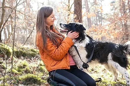 Łatek - oddany jak zwykły przedmiot, szuka miłości