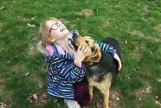 PIĄTEK – młody, niezwykłej urody psiak ADOPCJA