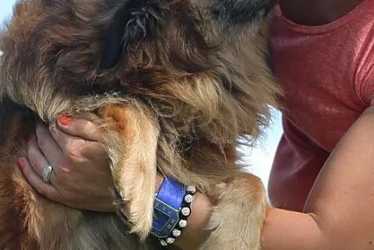 Hugo - ten psiak to lekarstwo na nudę, Mazowieckie, Warszawa