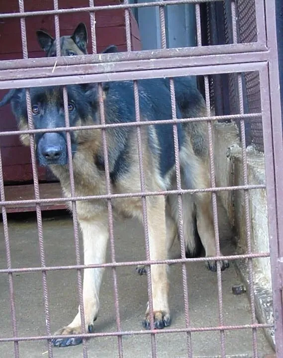 Igusia odda się w dobre 'serce