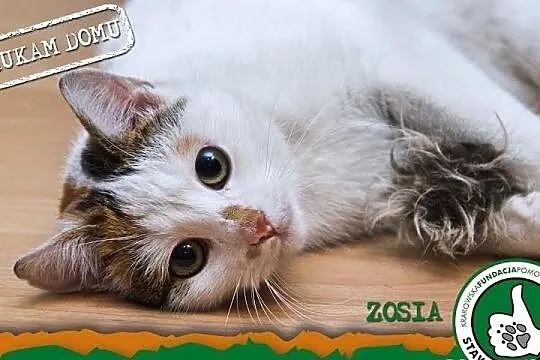 Zosia czeka na dom