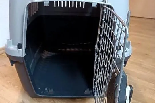 Transporter lotniczy BRACCO rozmiar 4, Małopolskie, Kraków