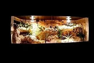 Okazja terrarium dla agamy gekona żółwia węża kameleona legwana boa pająka