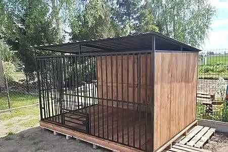 BOKSY SUPER STAN, Mazowieckie, Radom