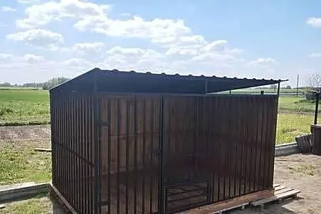 BOKSY SUPER STAN, Mazowieckie, Radom