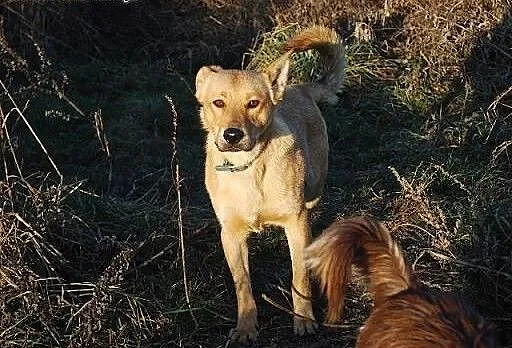 Przeżył jako jedyny z licznego rodzeństwa... KAROL