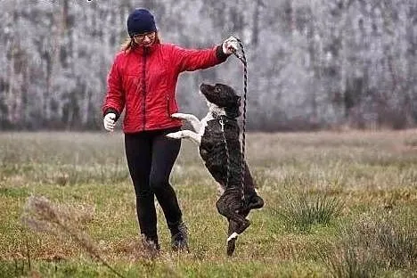 Spokojny i grzeczny Gustaw wciąż czeka na dobry do