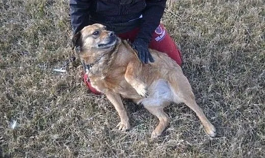 Daj dom Korusi, która już nie wierzy że zasługuje