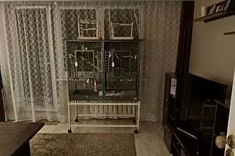 Klatką dla papug Savic Tasmania 120x65x107 plus stojak, Wielkopolskie, Poznań