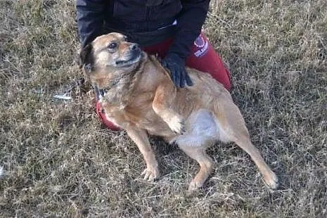 Kora poddała się, już nie wierzy że znaczy coś dla