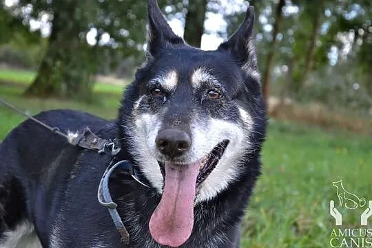 Chciałabym aby ktoś mnie adoptował i pokochał