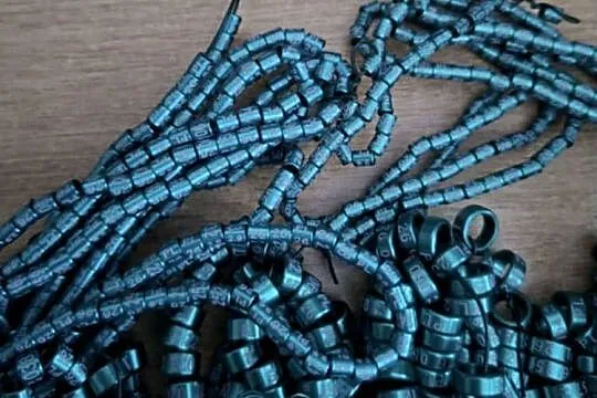 Obrączki dla drobnej egzotyki, papug 26 PL 26 rozmiar obr, kol numer 001..., Małopolskie, Maków Podhalański