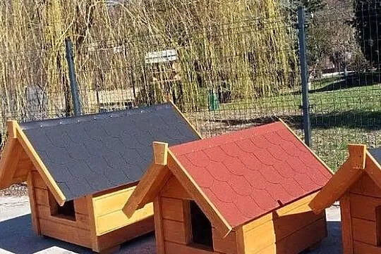 buda dla psa, Łódzkie, Skierniewice