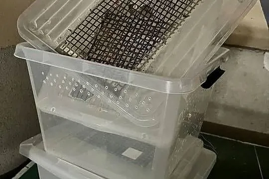 Pojemniki plastikowe z wentylacją, Śląskie, Wisła Mała