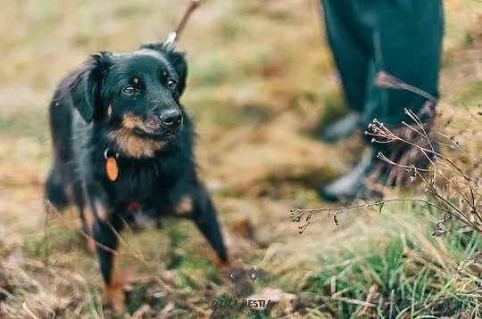 Wyjątkowy kawaler Mati szuka domu!, , Góra