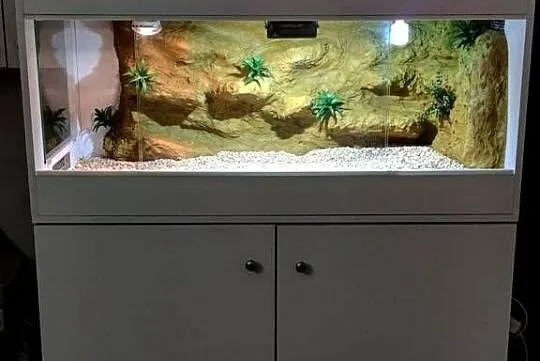 Terrarium dla żółwia greckiego gekona lamparciego