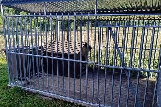 Kojec dla psa 3x2 z budą i podłogą