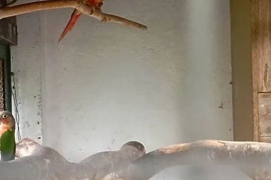 Rudosterki, Łódzkie, Wrzesiny