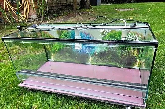Terrarium szklane 90x40x40, Wielkopolskie, Objezierze