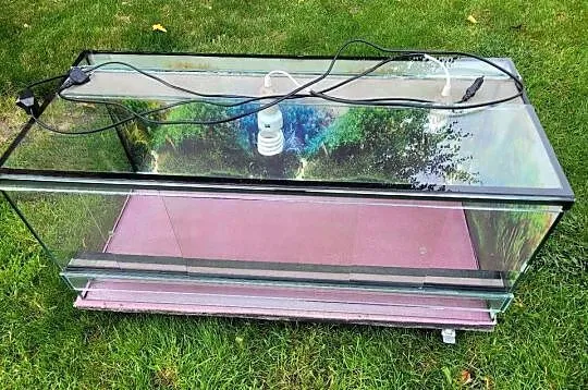 Terrarium szklane 90x40x40, Wielkopolskie, Objezierze