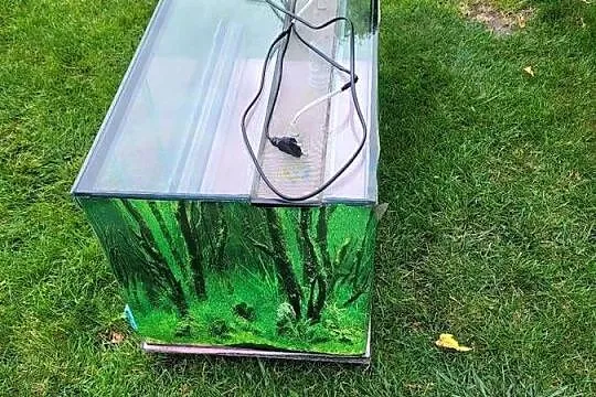 Terrarium szklane 90x40x40, Wielkopolskie, Objezierze