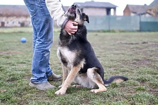 Leo - ty dasz mu dom, on Tobie uśmiech na twarzy na codzień