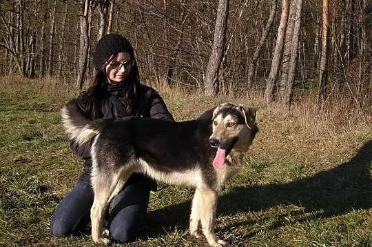 Endriu szuka domu.