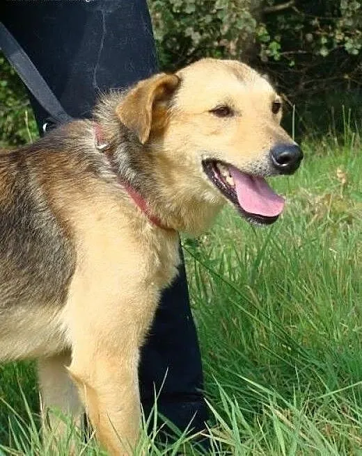 Baks powoli traci wiarę w to, że kiedykolwiek opuś