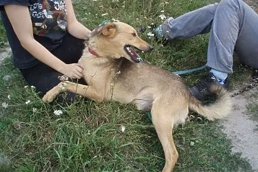 Baks powoli traci wiarę w to, że kiedykolwiek opuś
