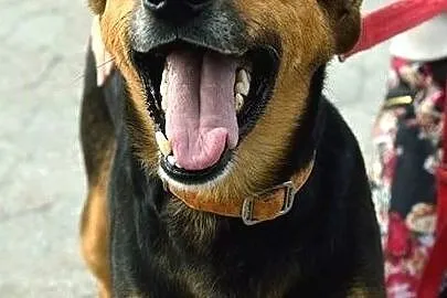 Tak się śmieje tylko Ginger! :), Warmińsko-mazurskie, Olsztyn