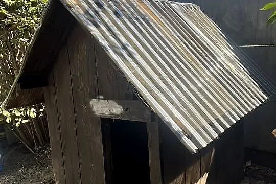 Sprzedam budę dla psa