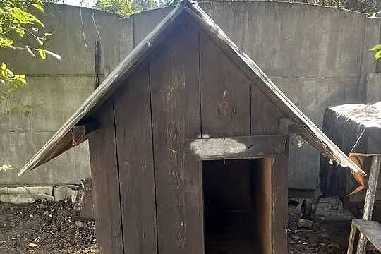 Sprzedam budę dla psa, Podkarpackie, Zaklików